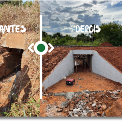 Obra de Arte Especial​ 1