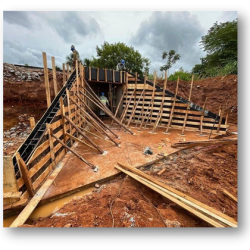 Obra de Arte Especial​ 3